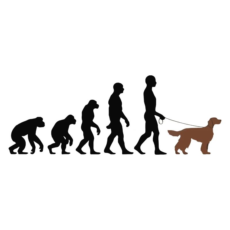 Irish Setter