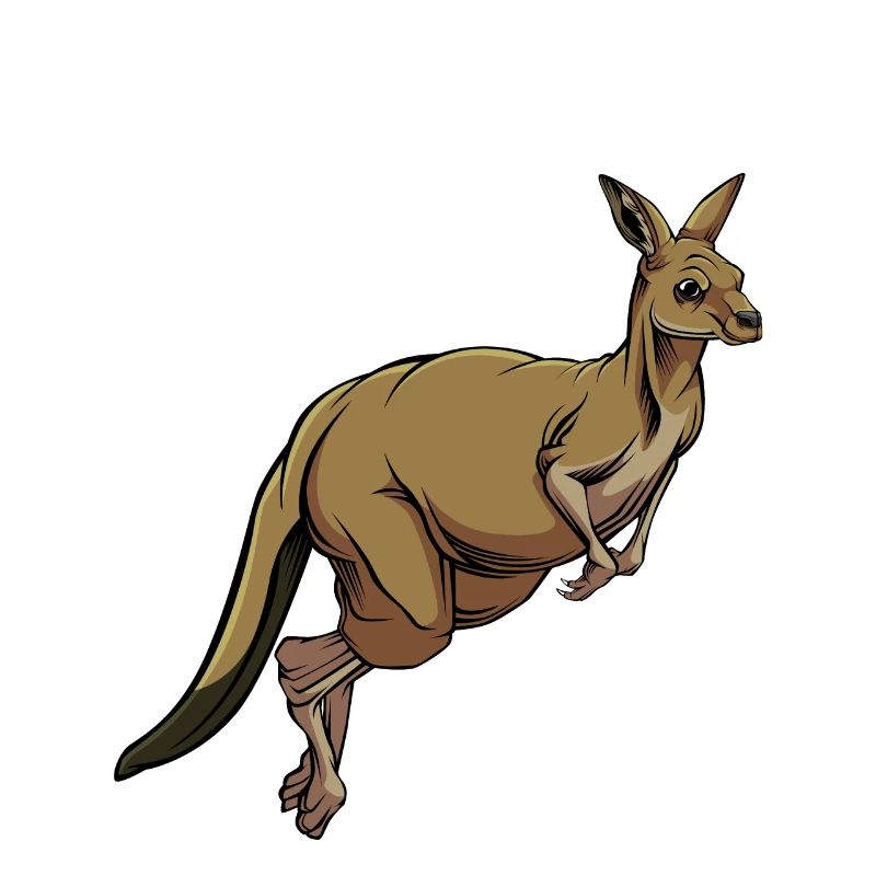 Kangaroo