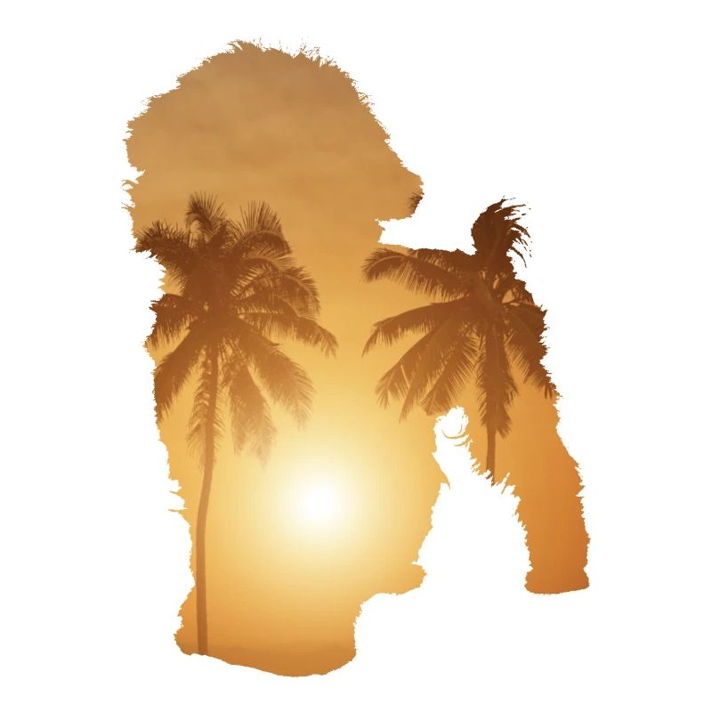 Summer beach - Bichon Frise
