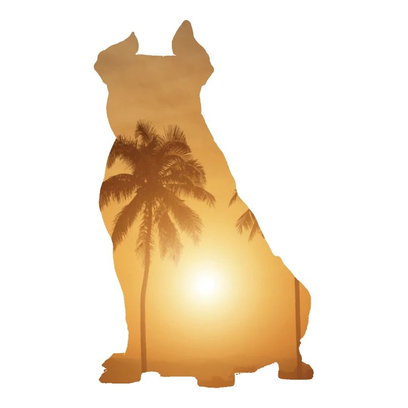 Plage d’été - American Bully