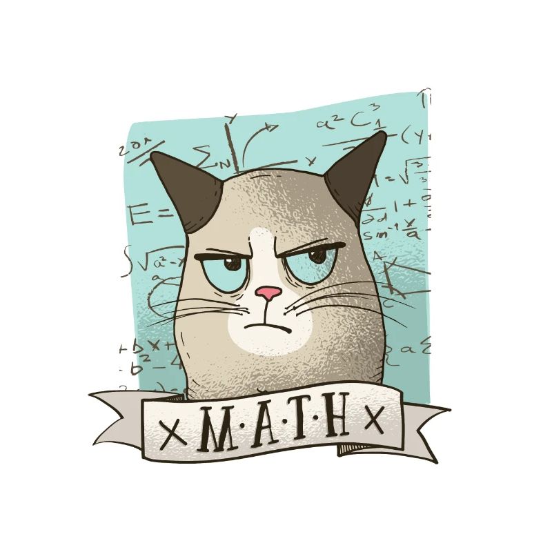 Math tutoring cat teacher tshirt gift