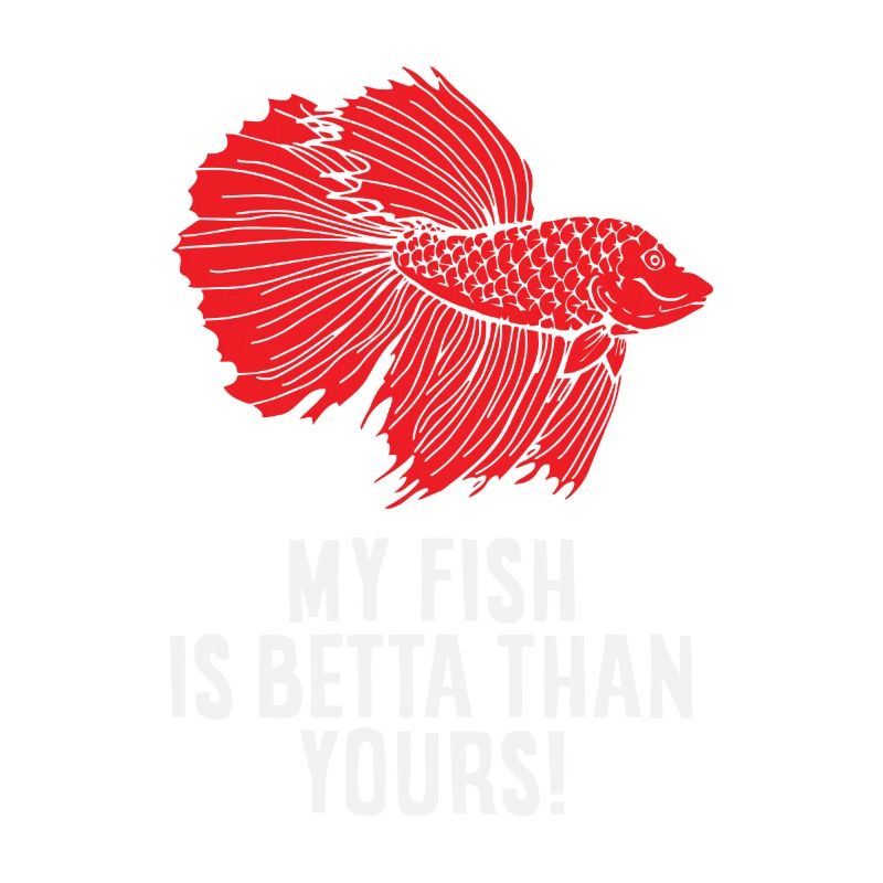 Betta Splendens fighting fish labyrinth fish gift