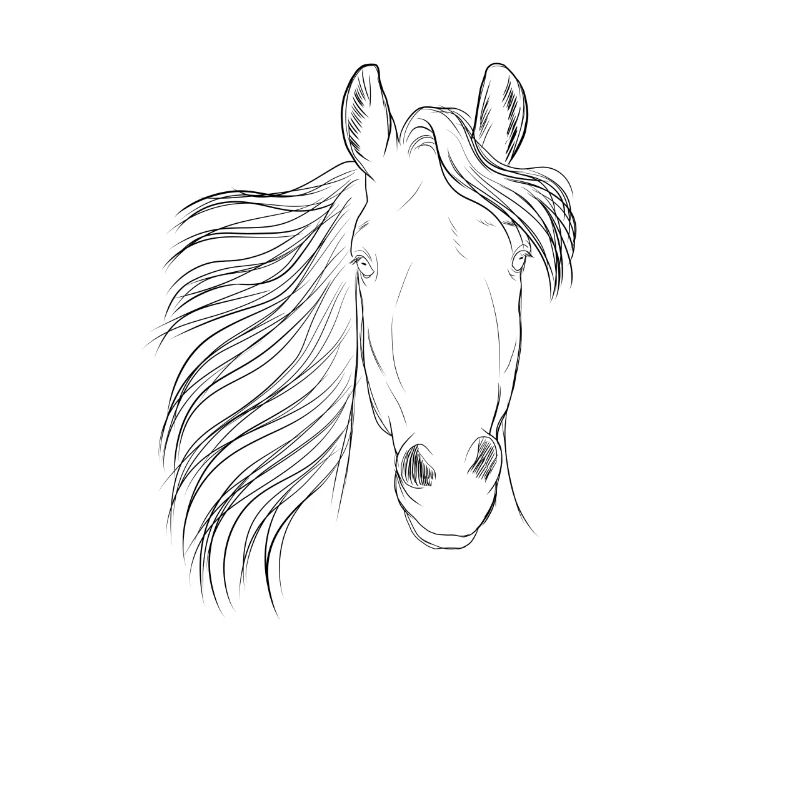 Pferd