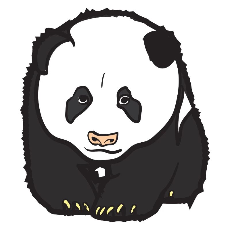 Panda Bär