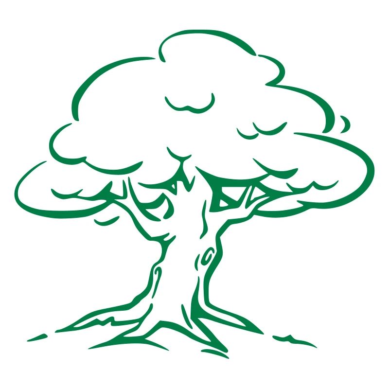 Tree Forest Nature