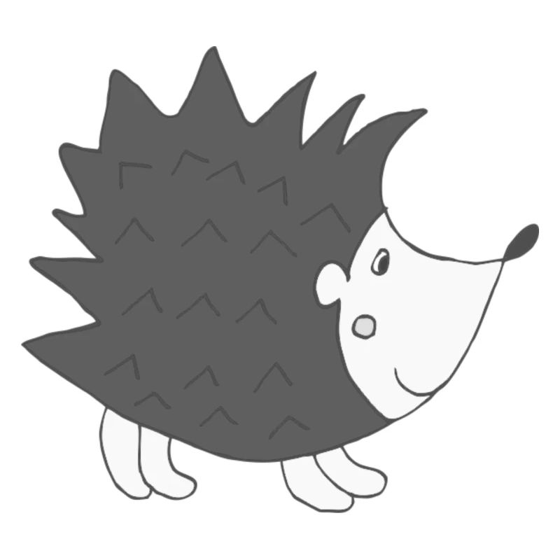 Hérisson Noir Blanc