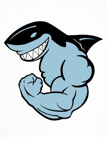 requin puissant 02