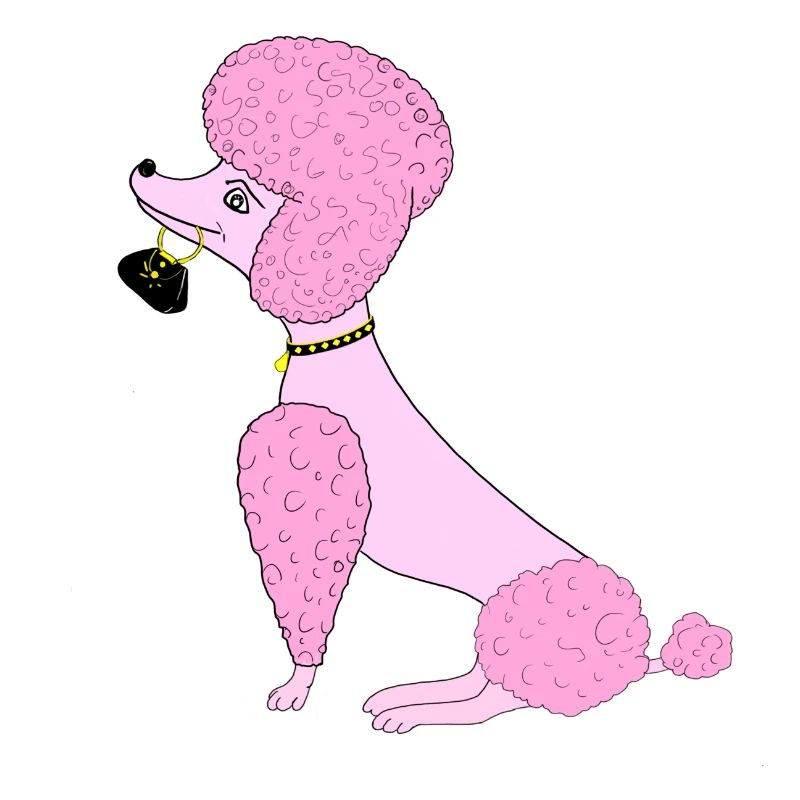 poodle