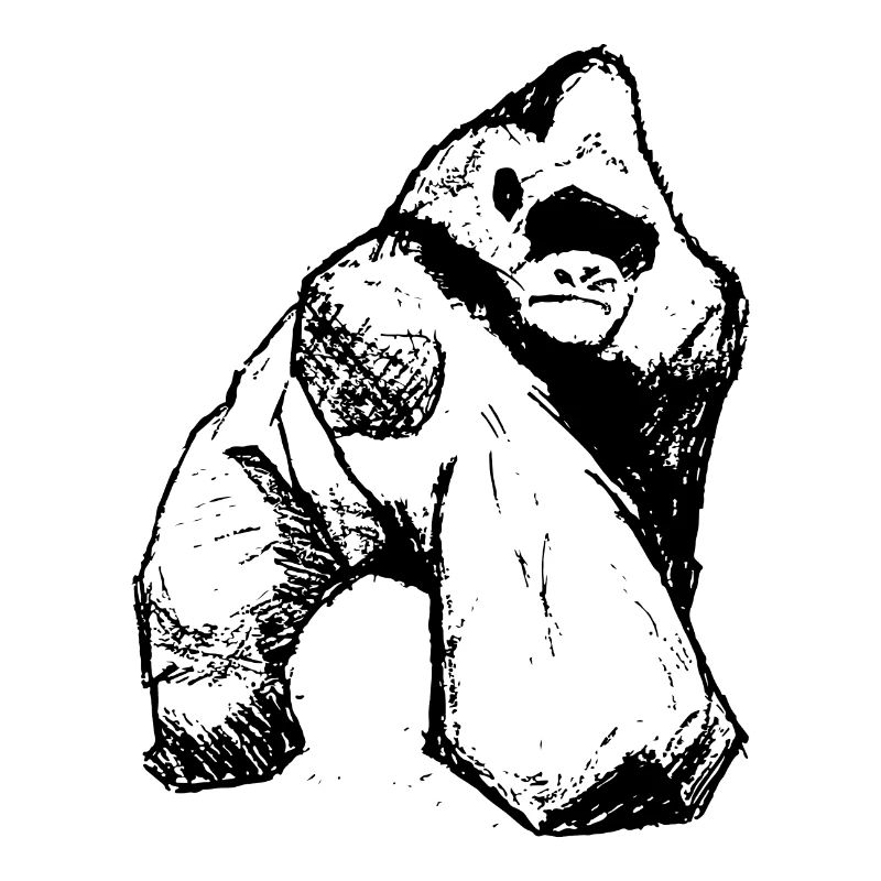 Gorilla & Silverback