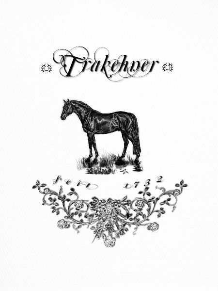 Trakehner - seit 1732