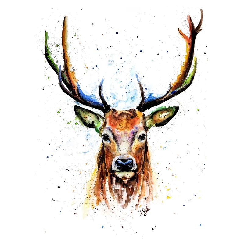 Hirsch