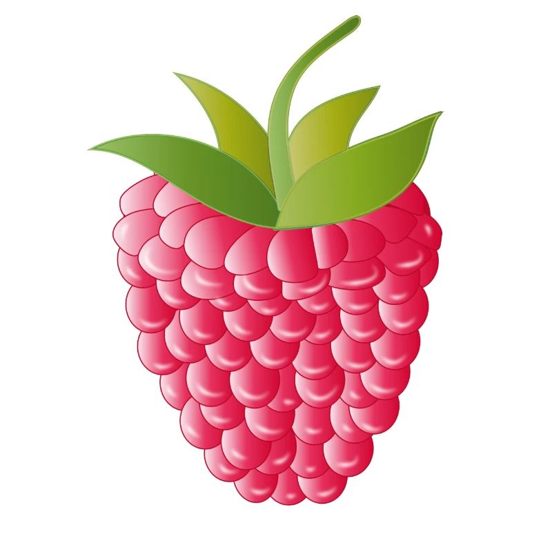 pink red ripe raspberry