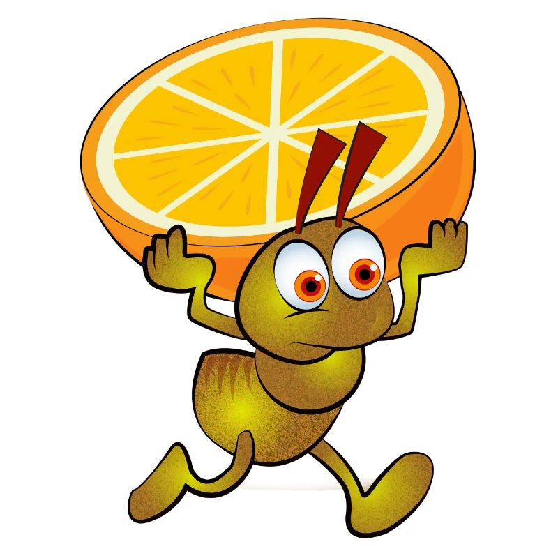 Yellow ant with a split orange