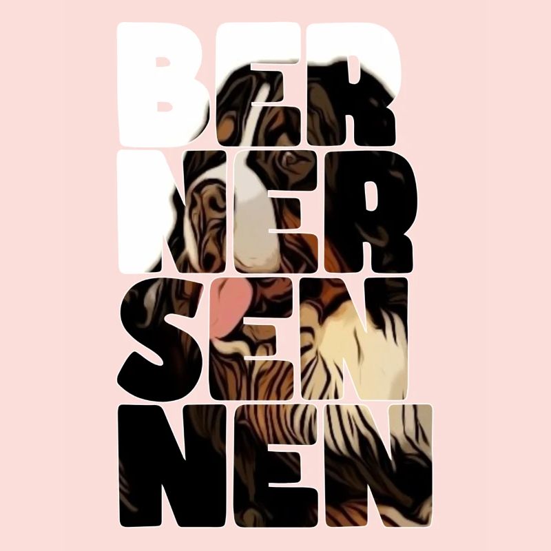 Berner Sennenhund