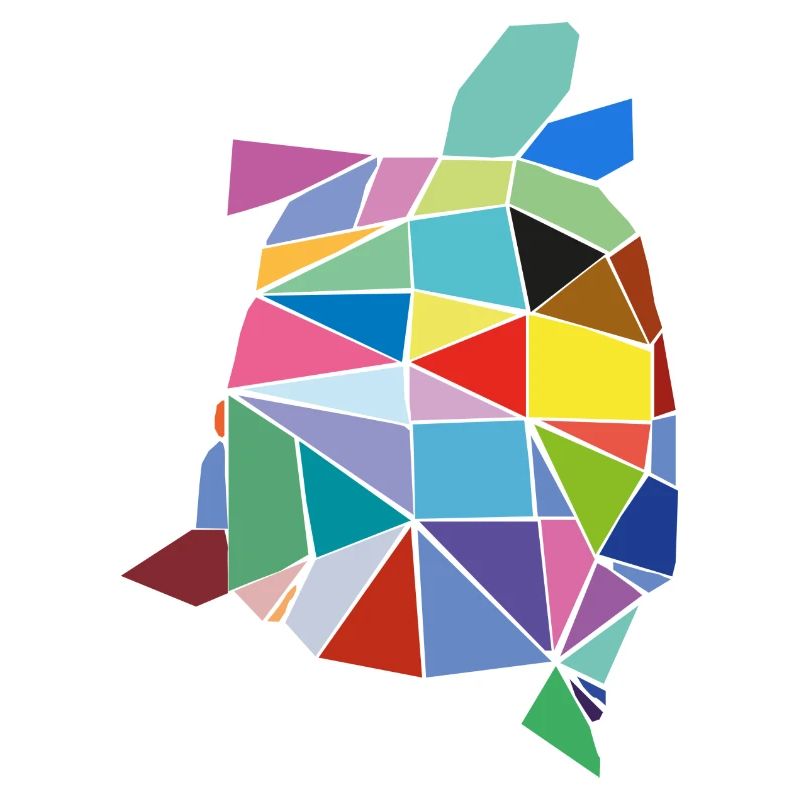 Tortue colorée