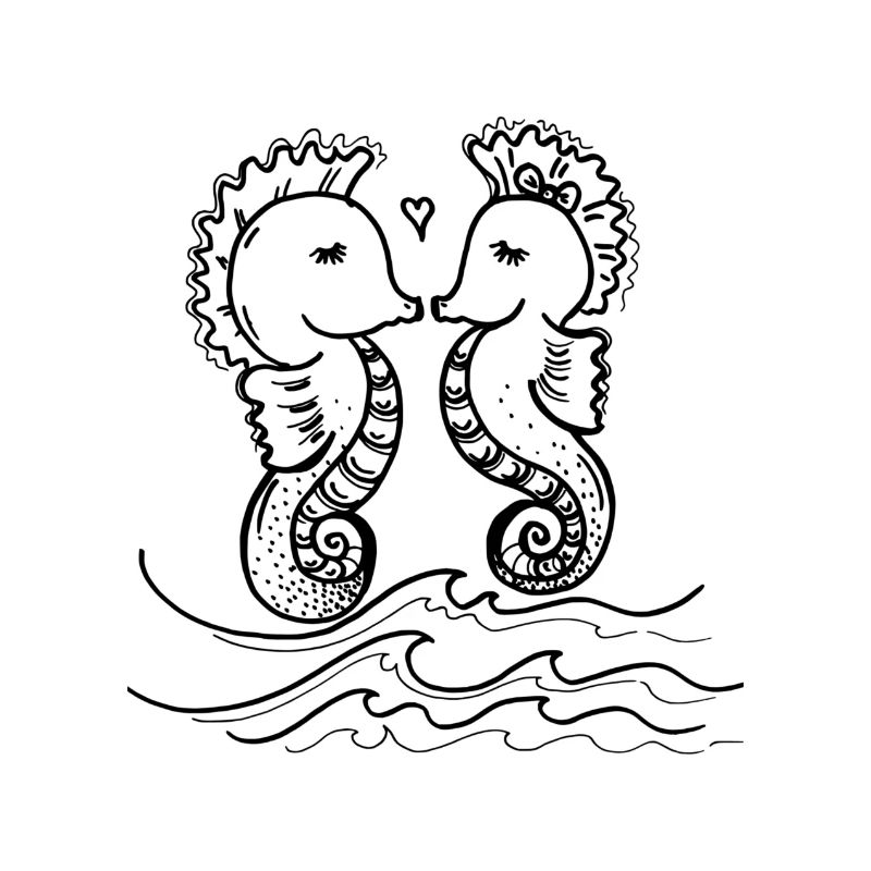 Küssende Seepferdchen