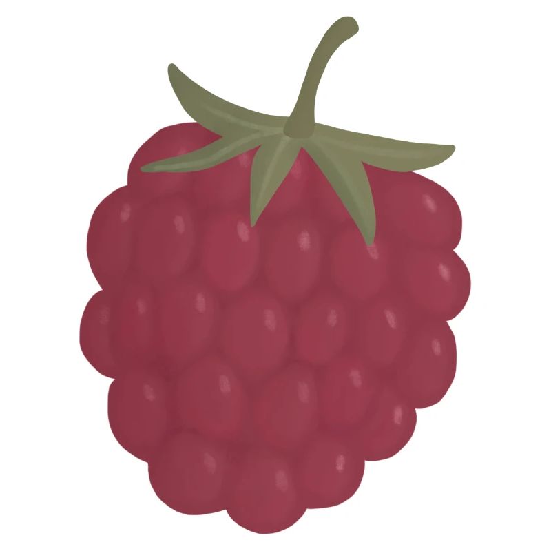 red pink raspberry