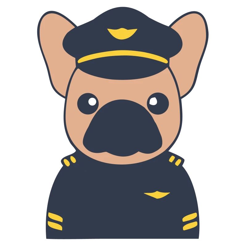 Frenchie Pilot Captain Uniform
