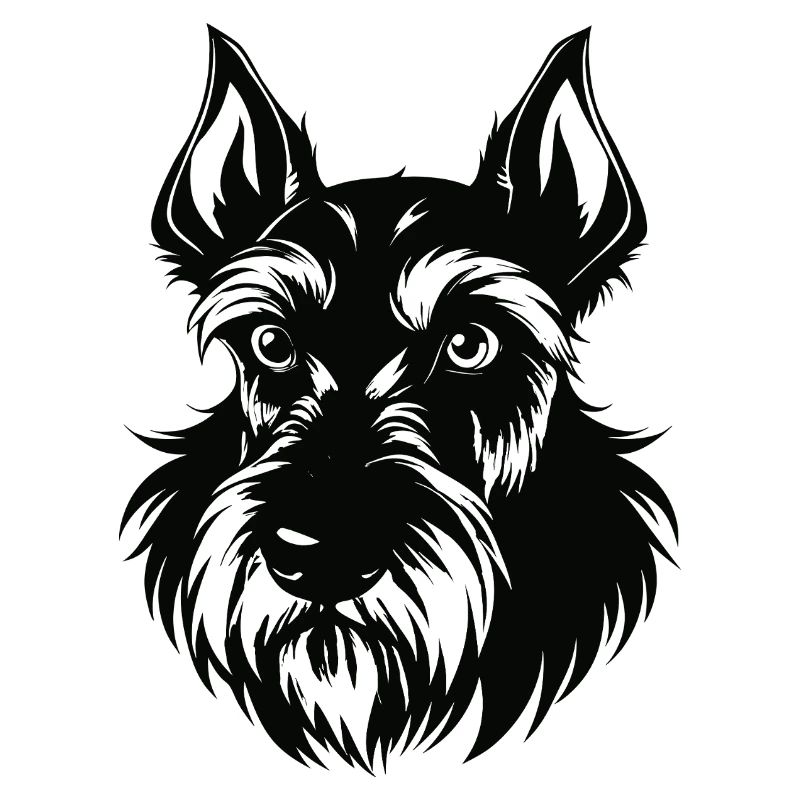 Schnauzer géant