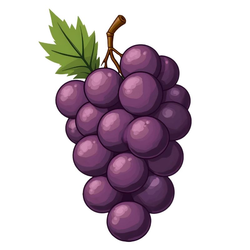 Grappes de raisin