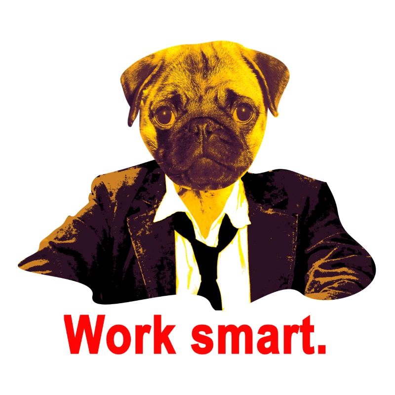 work smart pug