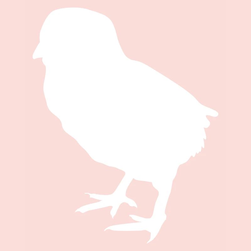 poussin