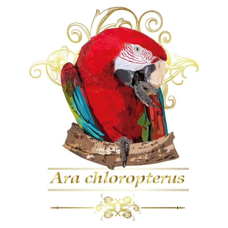 Red Macaw