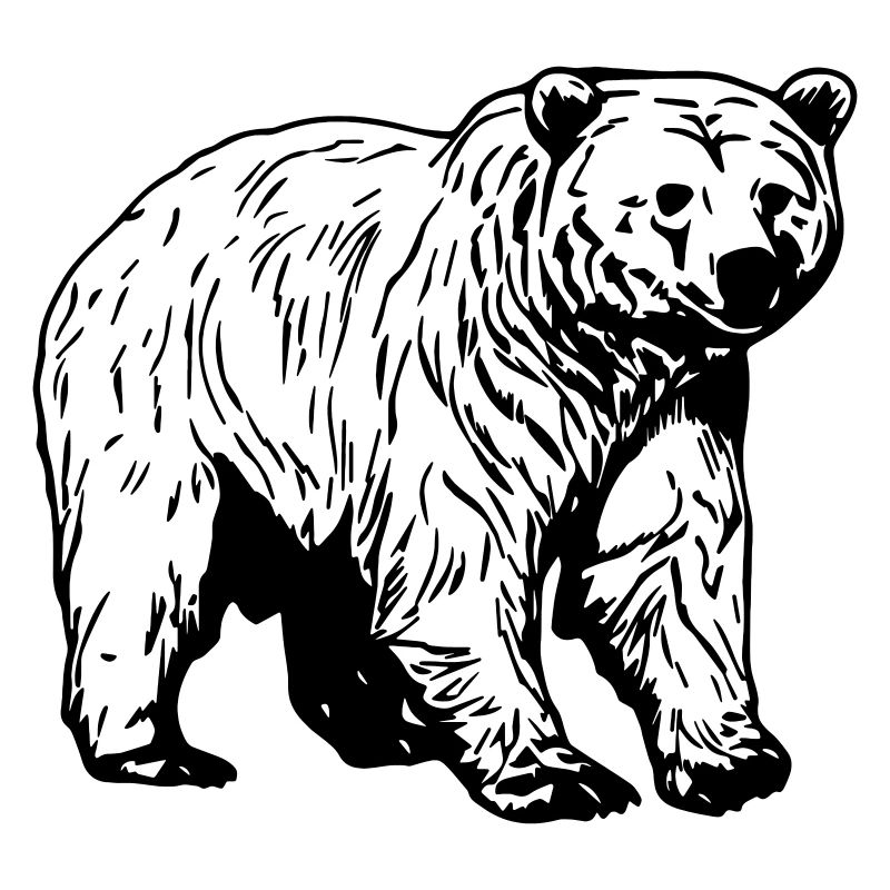 Bär