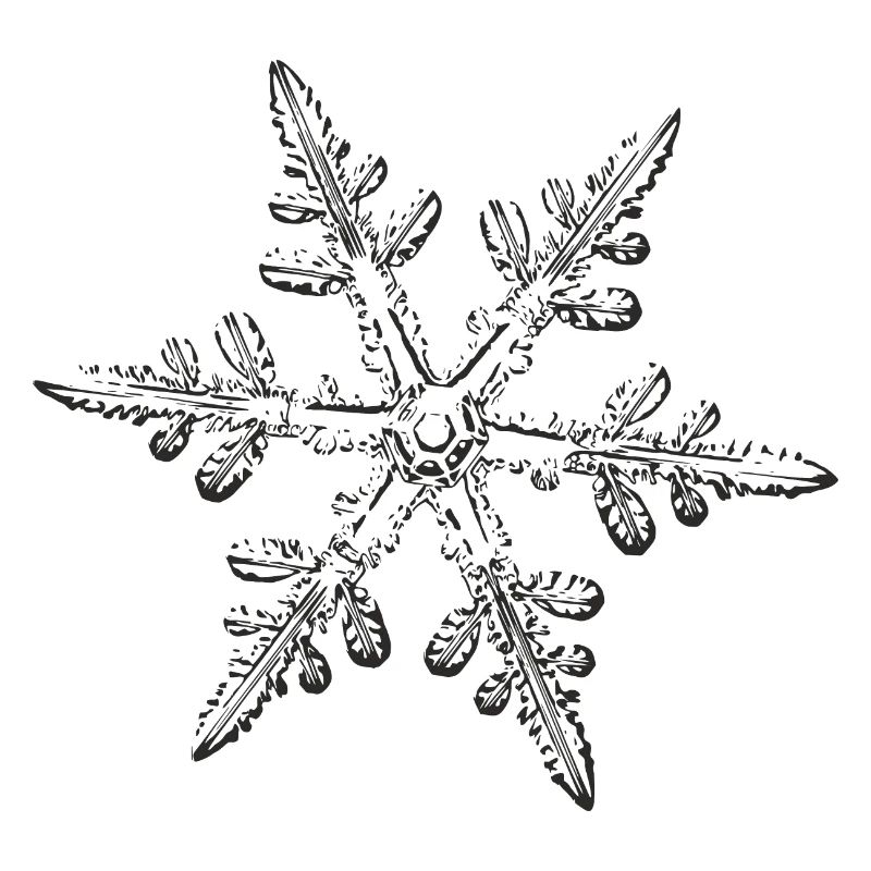 snowflake 8 black