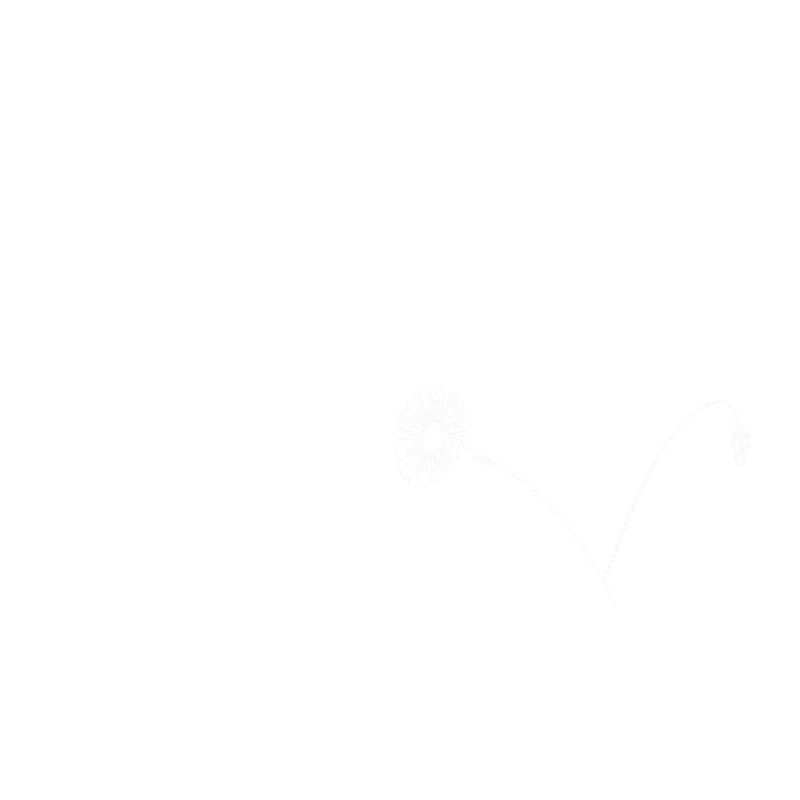 Minimalistische Blumen