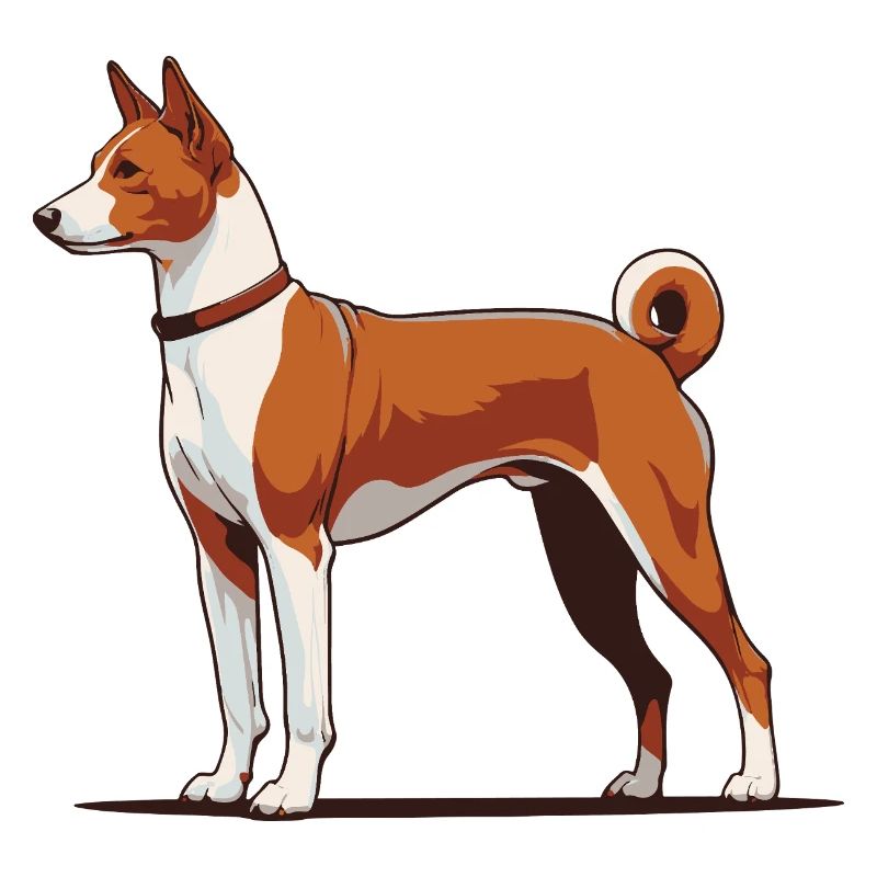 Basenji