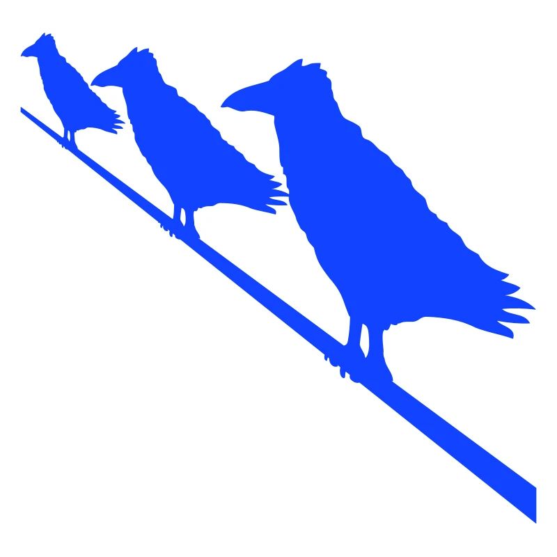 3 Ravens Sitting Cable Rope Three Friends Crew Team