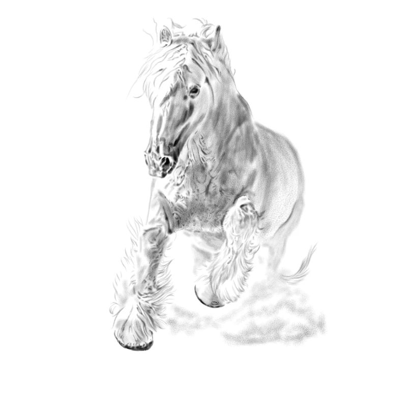 Pferd