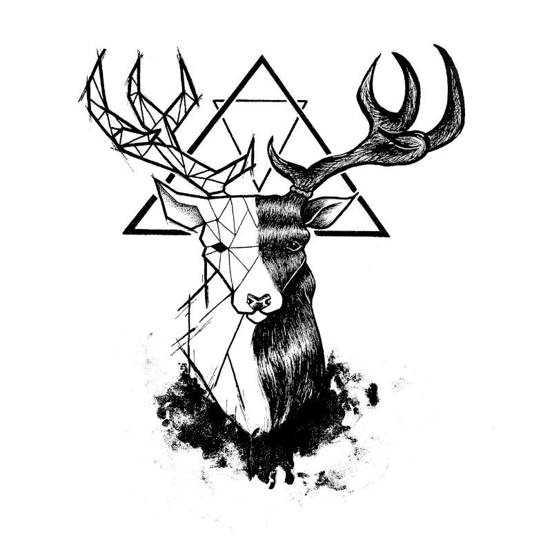 Black Duality