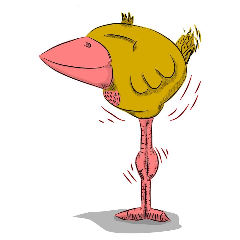 Bird Friedolin just happy on it