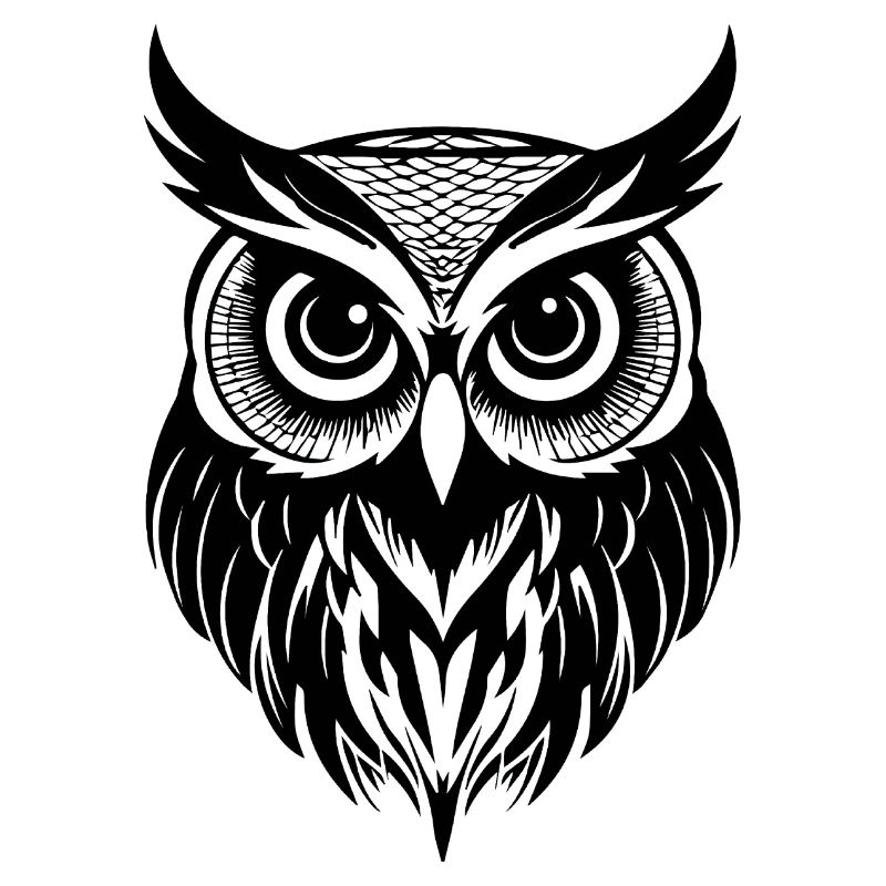 Eule Eulen Vogel Vögel