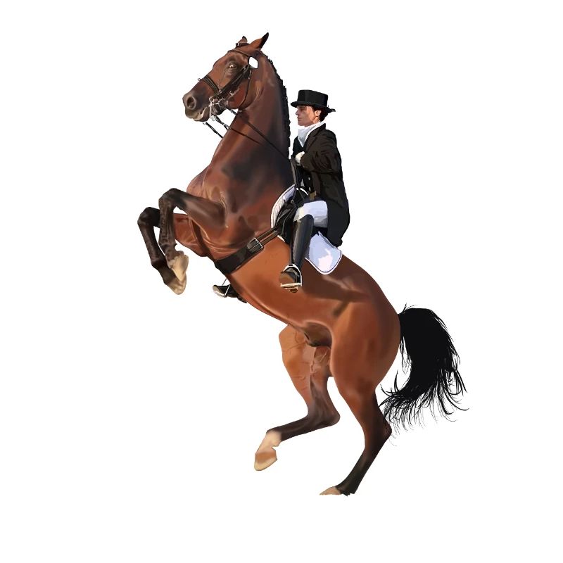 Eleganter Reiter auf Springendem Pferd