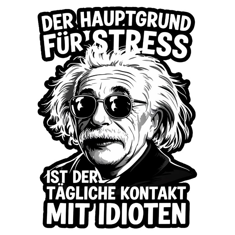 Einstein Zitat Stress Idioten Spruch