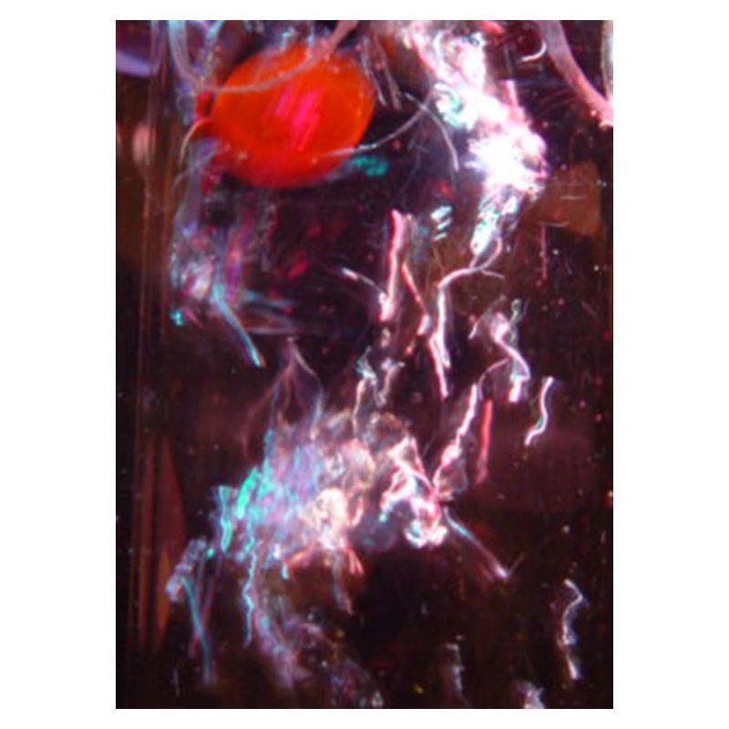Neon Fluid Reflection
