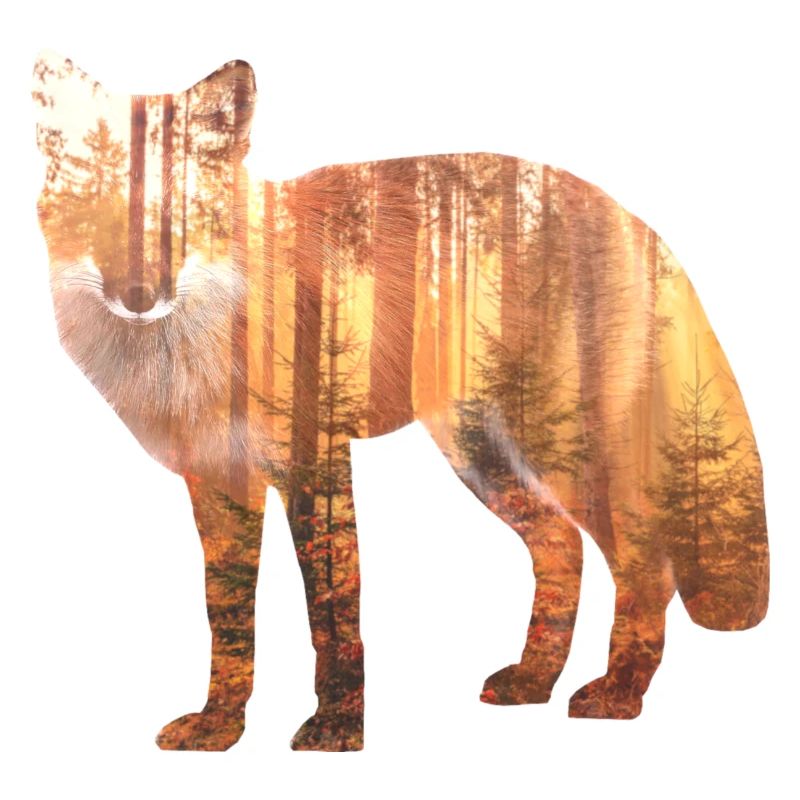 Fuchs Wald Geschenk Geschenkidee