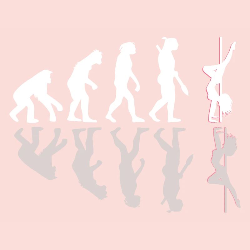 Pole Dance Evolution Geschenk Schatten