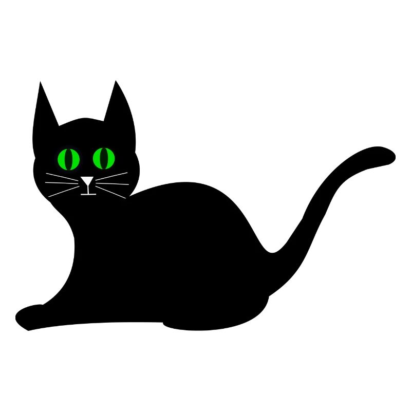 schwarze Katze