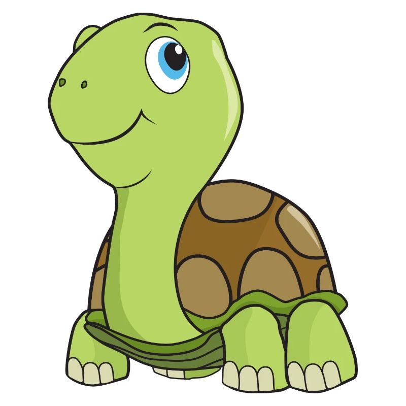 turtle
