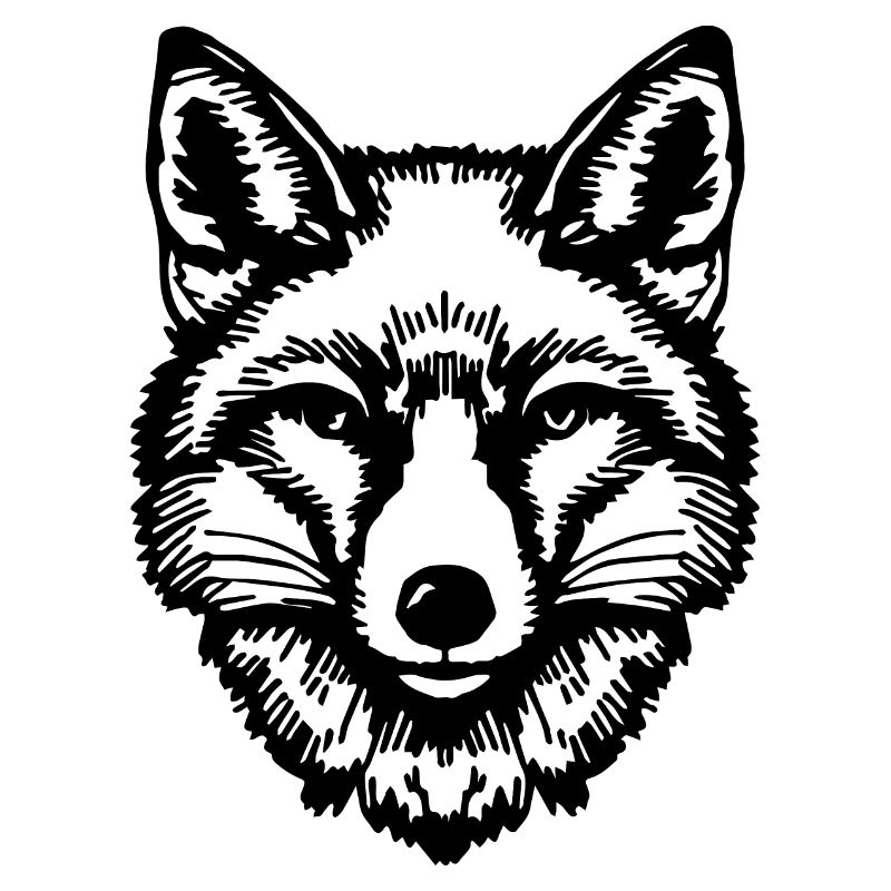 Fox Foxes