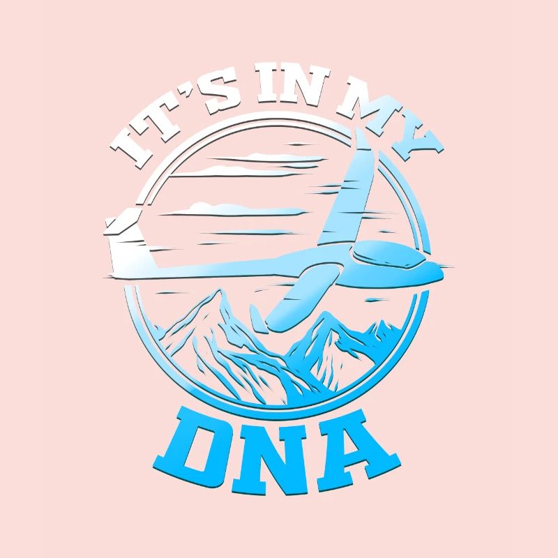 Gliding pilot glider glider pilot