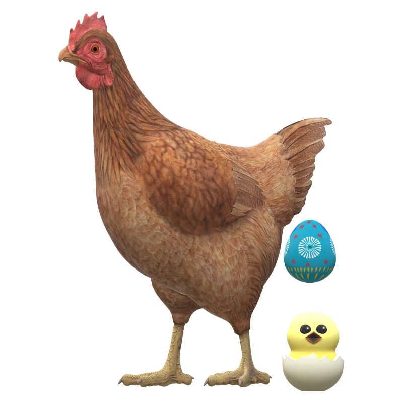 Chicken with chick