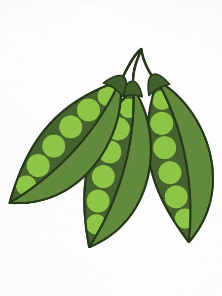 Erbsen