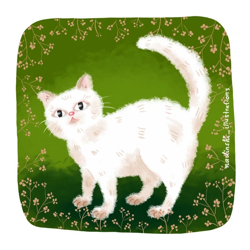 chat mignon