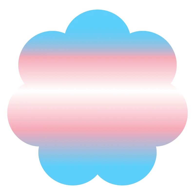 Subtle Transgender Pride