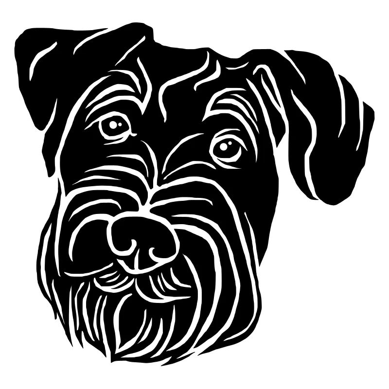 Middle Schnauzer